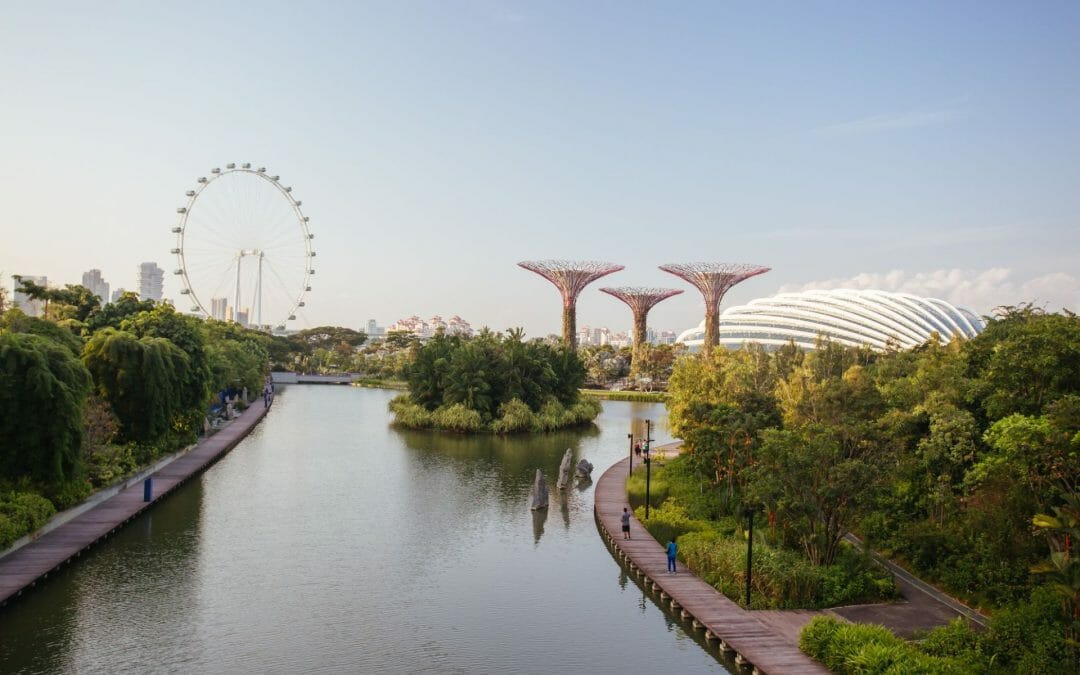 تشكيل شركة سنغافورة – Luxembourg