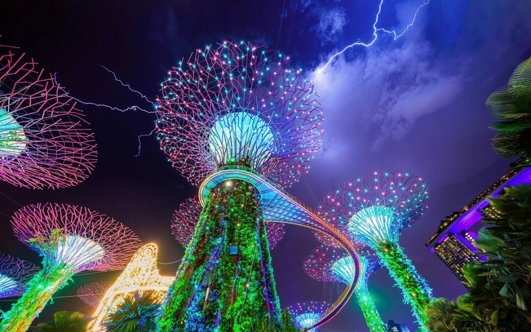 قم بحماية أصول عائلتك الآن: قم بتسجيل أفراد عائلتك مكاتب عائلية في سنغافورة – Luxembourg