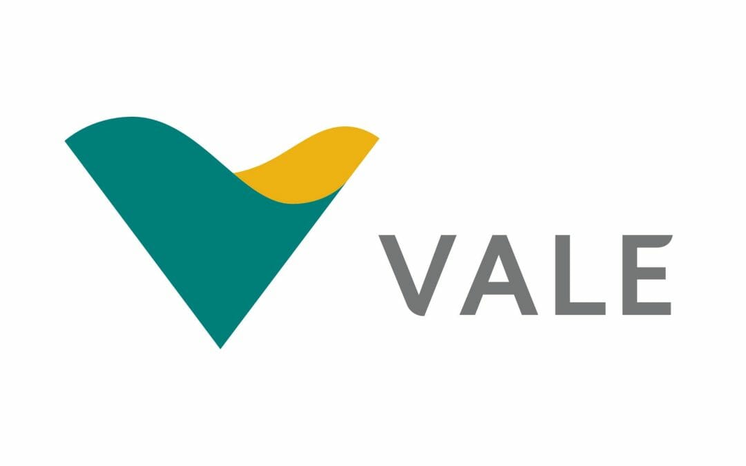 يزيل Vale 3 سدود أخرى في المنبع في MG ويحقق هدف العام – Luxembourg