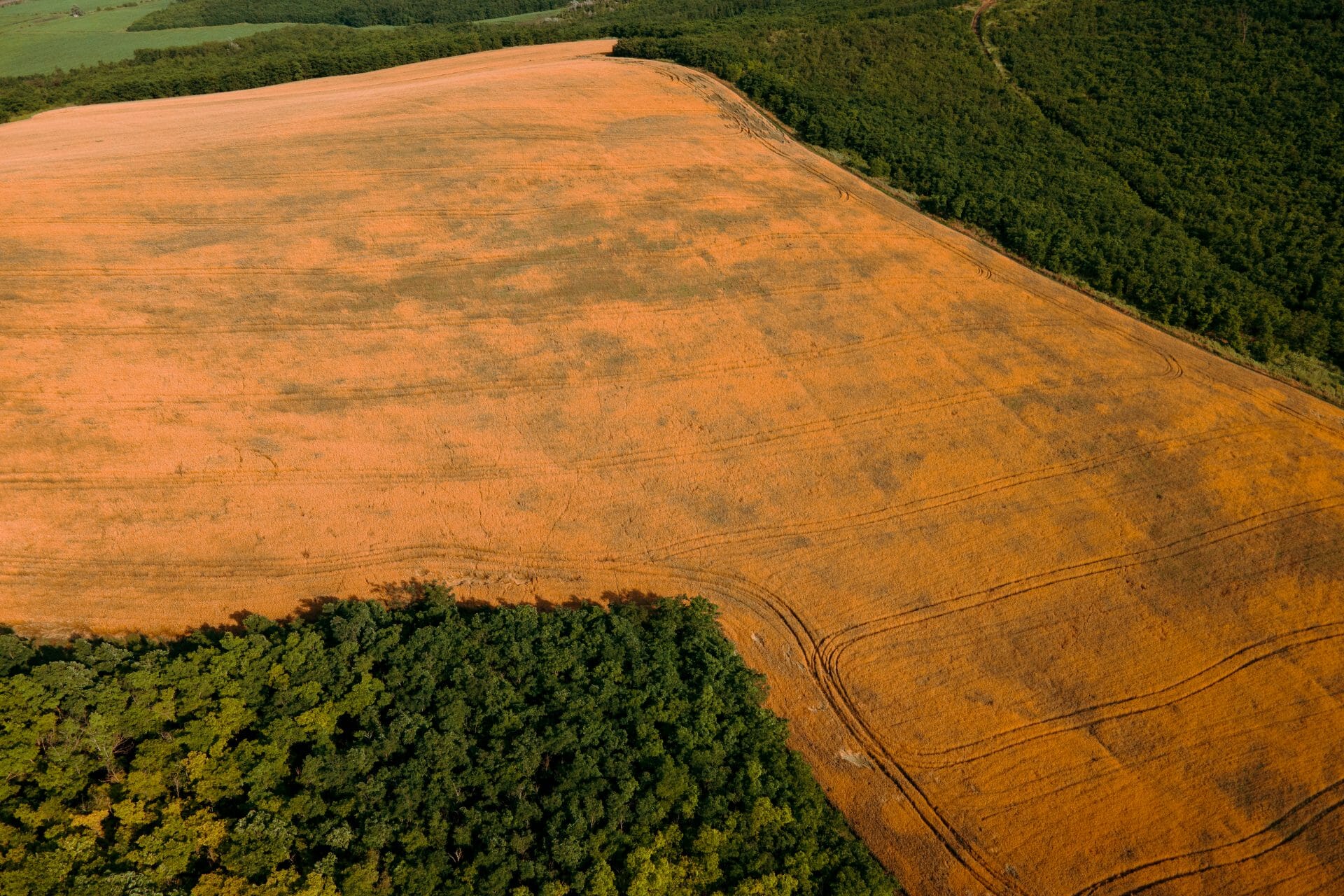 Brazilian agribusiness breaks export record 