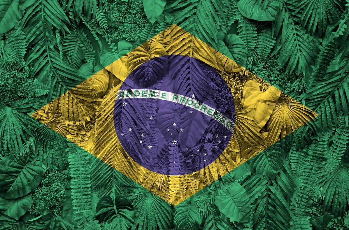 COP 27 COP 30 in 2025 Lula da Silva Brazil – Luxembourg