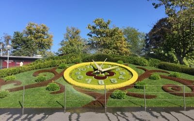 Cómo registrar su sociedad de responsabilidad limitada suiza (GmbH – Gesellschaft mit beschränkter Haftung) – Luxembourg