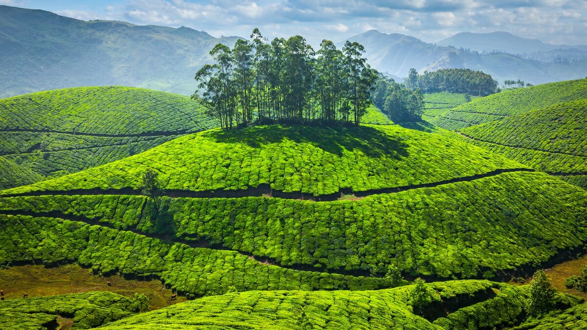 EFAMA highlighted that understanding greenwashing is crucial to combat the risk. 