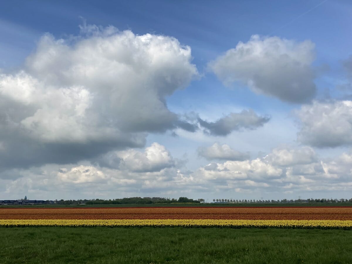 Government of South Holland Netherlands investment improving water quality in the agriculture