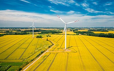 Article 9 SFDR Fund Luxembourg: How to Structure RAIF & SIF Sustainable Investment Funds