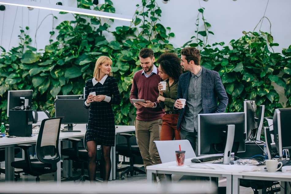 AgriTech Startups in New York City