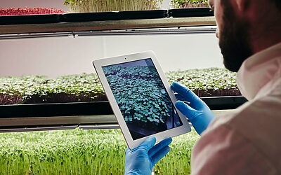 Austin’s FoodTech & AgriTech Startups: Where Restaurant Financing, Alternative Proteins, and Sustainable Packaging Intersect