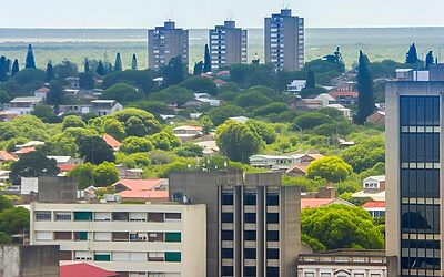 How Investors Are Tapping Growth Sectors in Salto, Uruguay